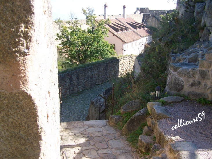 Le Château du Hohlandsbourg - Wintzenheim