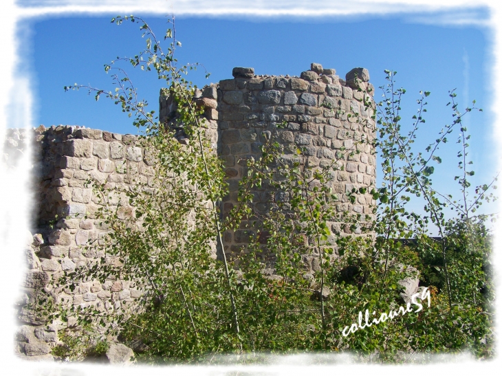 Le Château du Hohlandsbourg - Wintzenheim