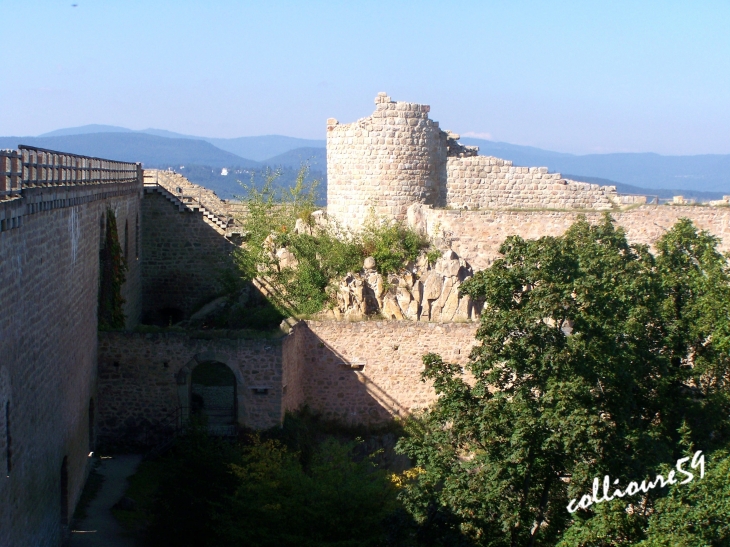 Le Château du Hohlandsbourg - Wintzenheim