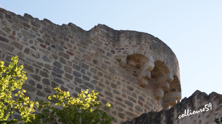 Le Château du Hohlandsbourg - Wintzenheim