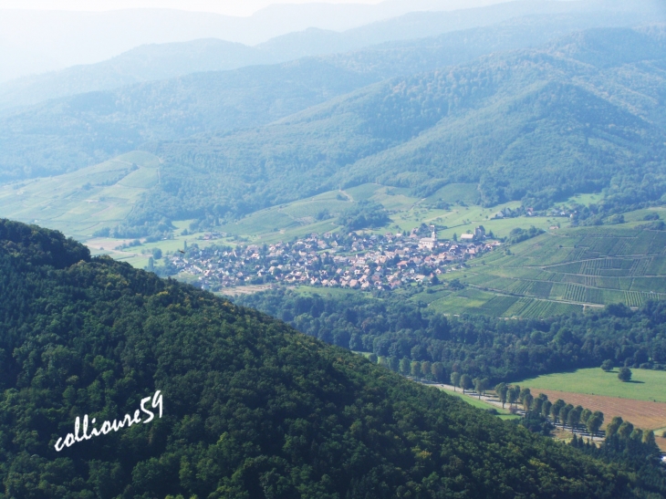 Le Château du Hohlandsbourg ( Vue du haut du Château ) - Wintzenheim