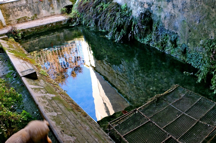 Le Lavoir - Badefols-sur-Dordogne