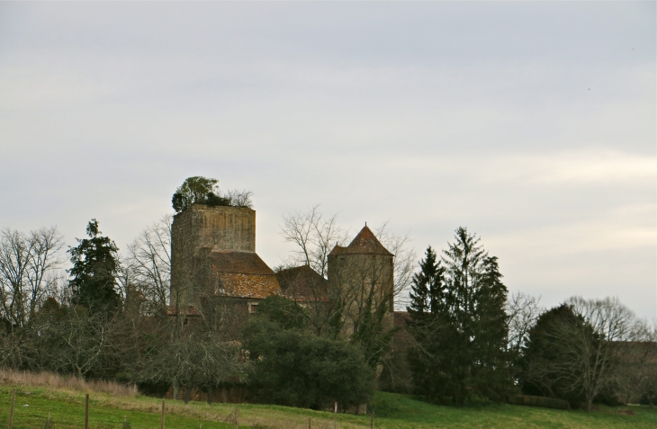 Le château de Baneuil des XIe,XIIe,XVe et XVIe siècles.