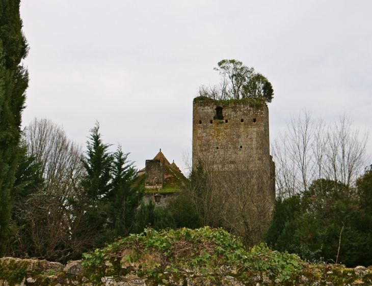 Donjon roman-du-chateau-de-baneuil-bati-au-xie-siecle