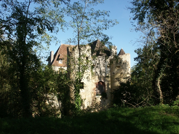 Château de Rognac, style rrenaissance. XVIe et XVIIe siècles. Il a servi de base aux insurgés lors de la Fronde au milieu du XVIIe siècle. - Bassillac