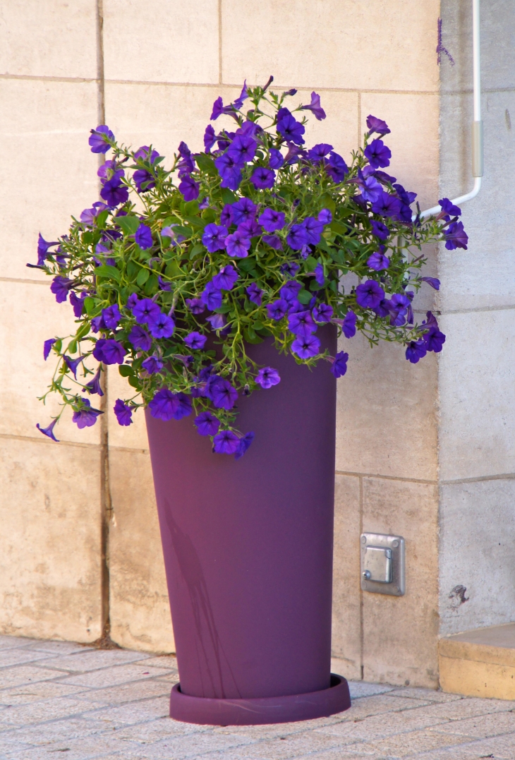 Rue de la Résistance. - Bergerac