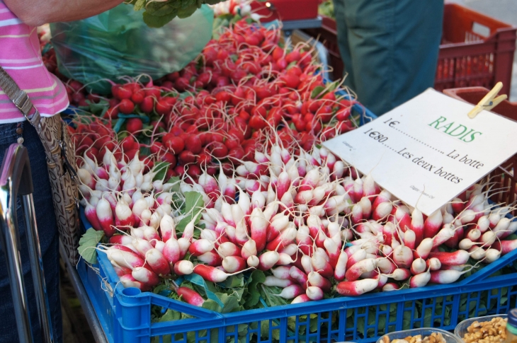 Sur le Marché. - Bergerac