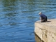 Photo précédente de Bergerac Pêcheur sur le bord de la Dordogne.