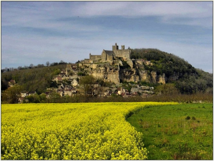 Vue depuis la plaine de Fayrac - Beynac-et-Cazenac