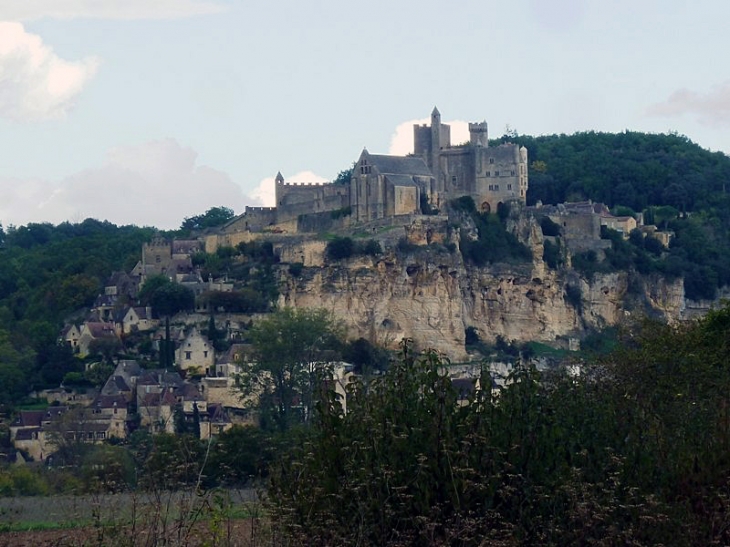 Le site du village - Beynac-et-Cazenac