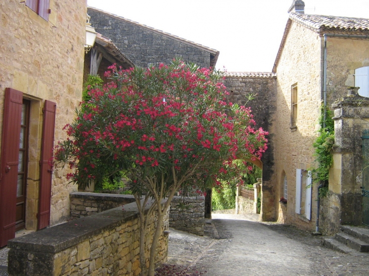 RUELLE FLEURIE - Biron