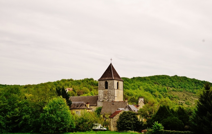 église St Martin - Borrèze