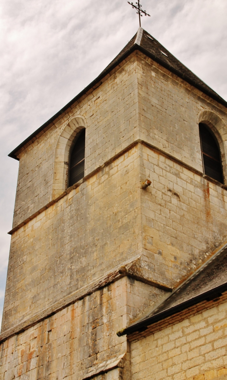 église St Martin - Borrèze