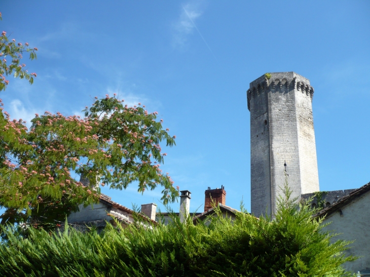 Le Donjon du château - Bourdeilles