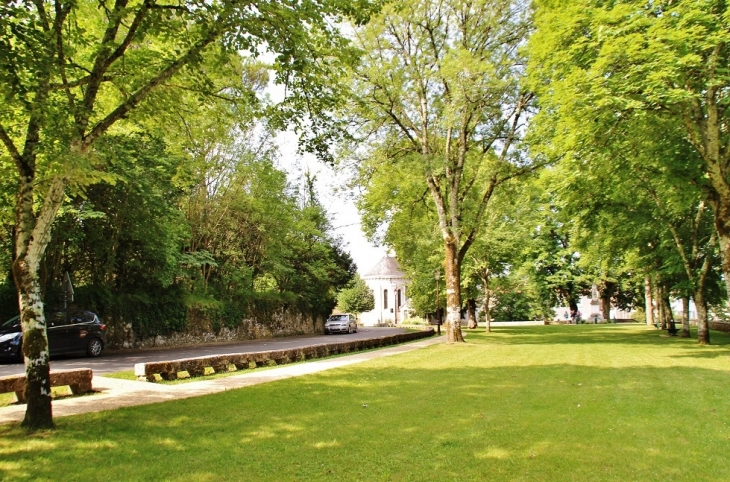 Le Château ( Parc ) - Bourdeilles