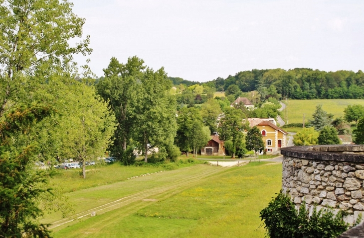 Le Château ( Parc ) - Bourdeilles