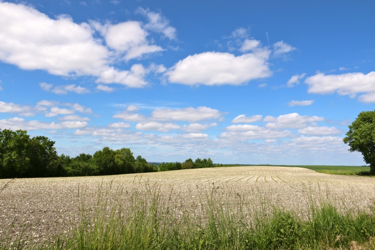 Aux alentours. - Bouteilles-Saint-Sébastien