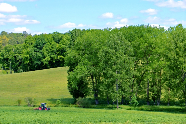 Aux alentours. - Bouteilles-Saint-Sébastien