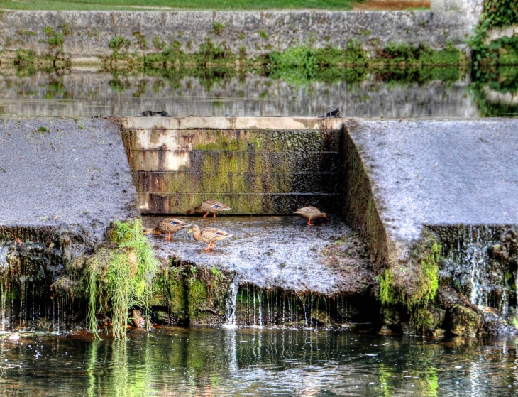  - Brantôme