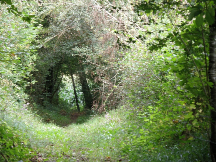 Un passage bien couvert - Bussac