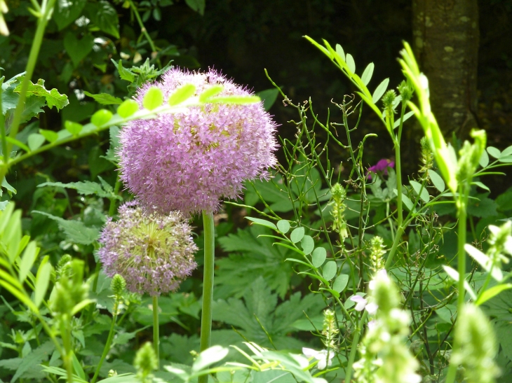 Les Jardins de Cadiot - Carlux