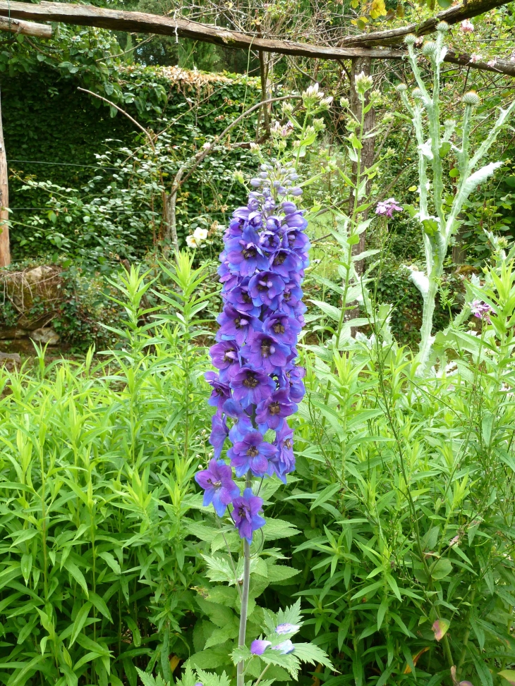 Les Jardins de Cadiot accueillent plus de 1500 variétés en floraison continuelle. - Carlux