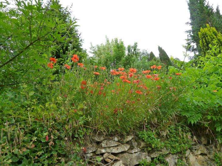 Les Jardins de Cadiot - Carlux