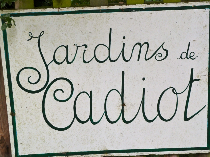 Le Jardin est un art, chaque jardin est un tableau, un univers dont nous sommes le visiteur priviliéré. - Carlux