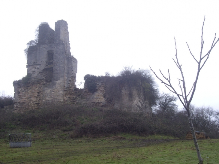 Ruines du château de Gurson (IMH) perchées sur une motte artificielle. - Carsac-de-Gurson