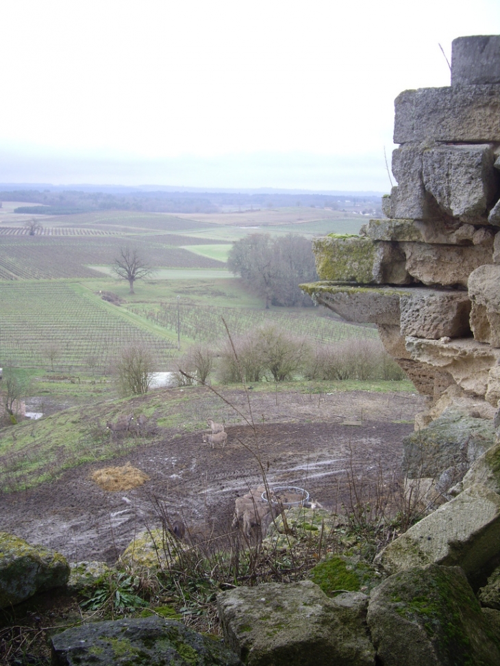 Panorama des ruines du château de Gurson. - Carsac-de-Gurson