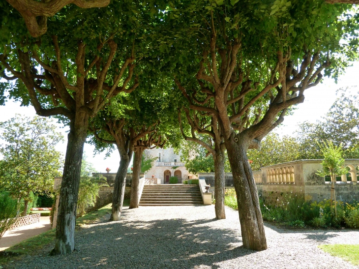 Allée menant au château des Milandes - Castelnaud-la-Chapelle