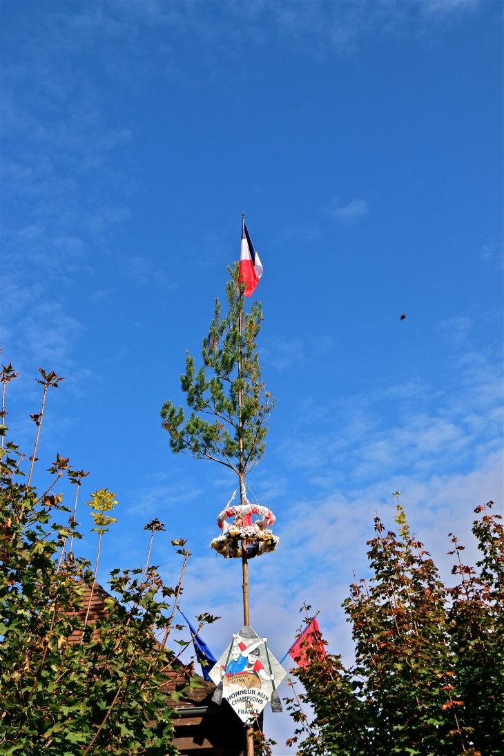 L'Arbre de Mai. - Castelnaud-la-Chapelle