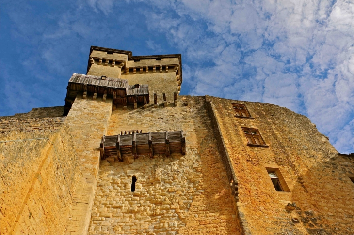 Le Château - Castelnaud-la-Chapelle