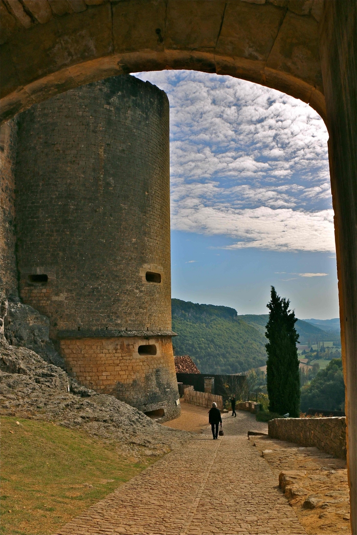 Le Château - Castelnaud-la-Chapelle