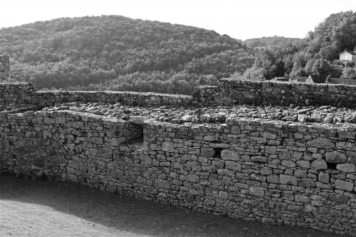 Le Château - Castelnaud-la-Chapelle