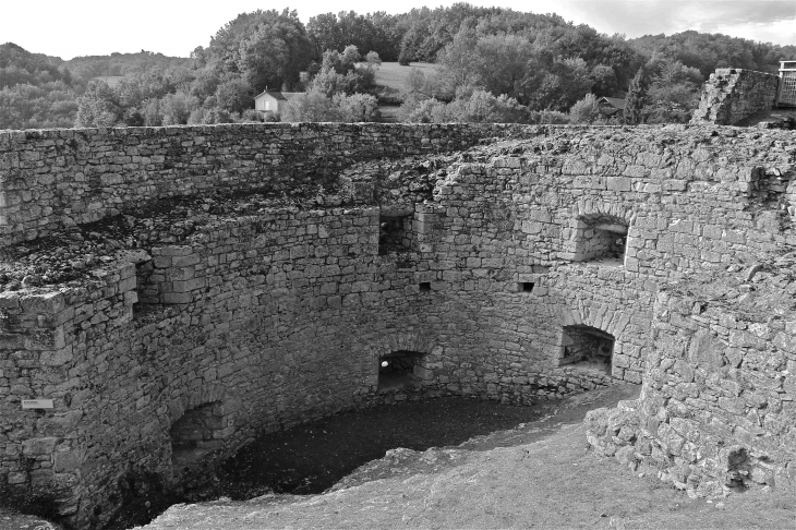 Le Château - Castelnaud-la-Chapelle