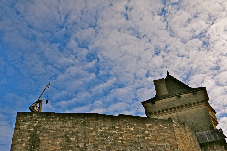 Le Château - Castelnaud-la-Chapelle