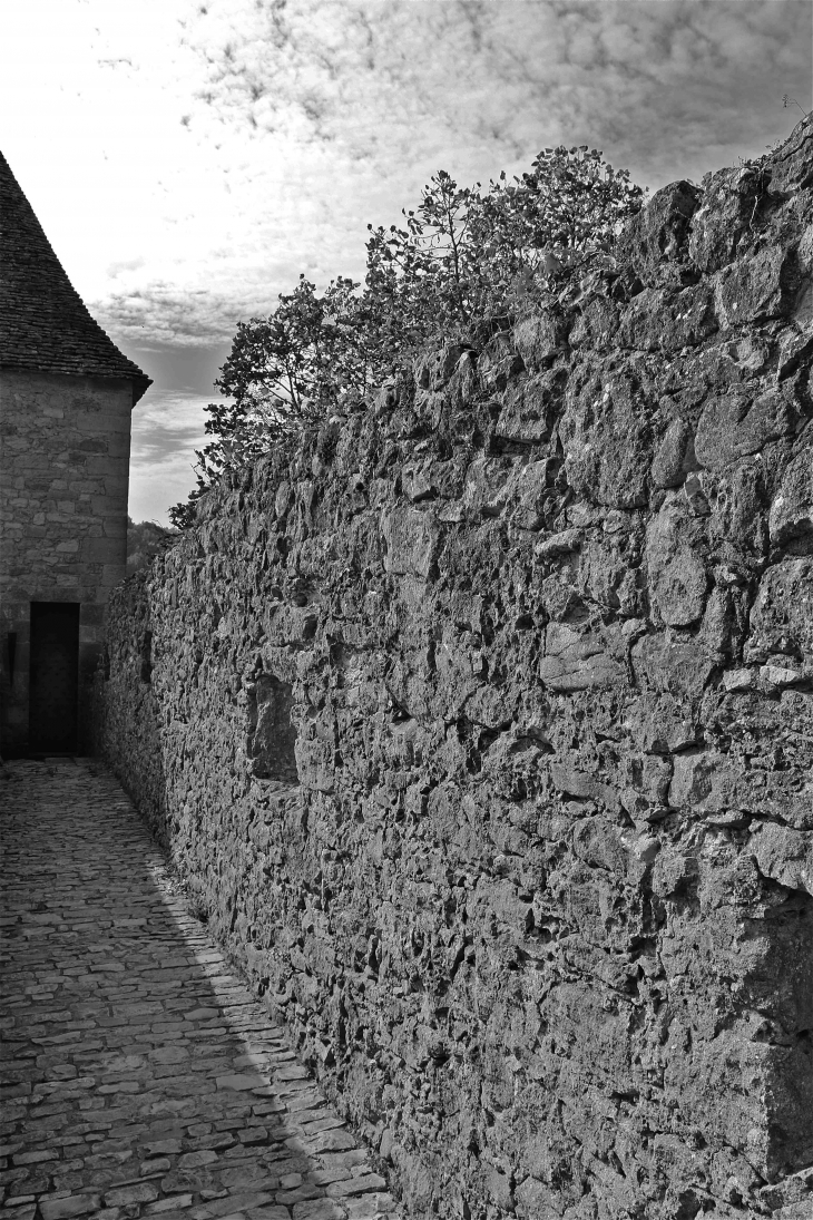 Le Château - Castelnaud-la-Chapelle