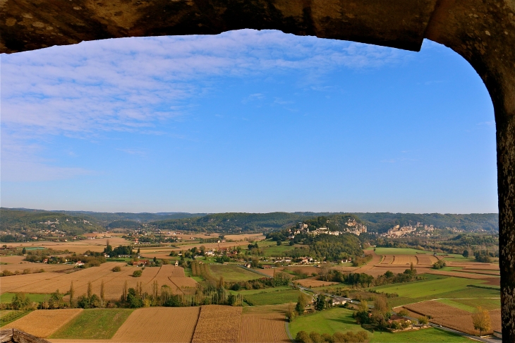 Depuis le chateau , les jardins de marqueyssac - Castelnaud-la-Chapelle