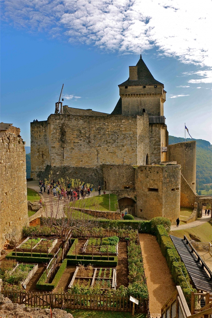 Le Château - Castelnaud-la-Chapelle