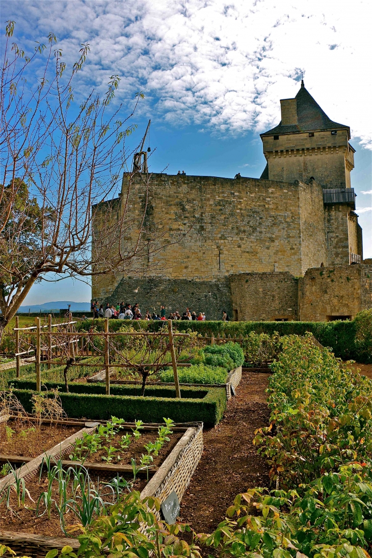 Le Château - Castelnaud-la-Chapelle