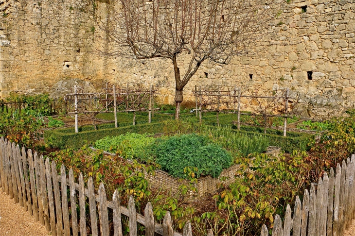 Le jardin médiéval du chateau - Castelnaud-la-Chapelle