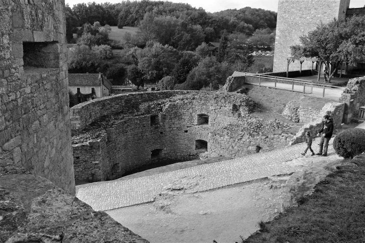 Le Château - Castelnaud-la-Chapelle