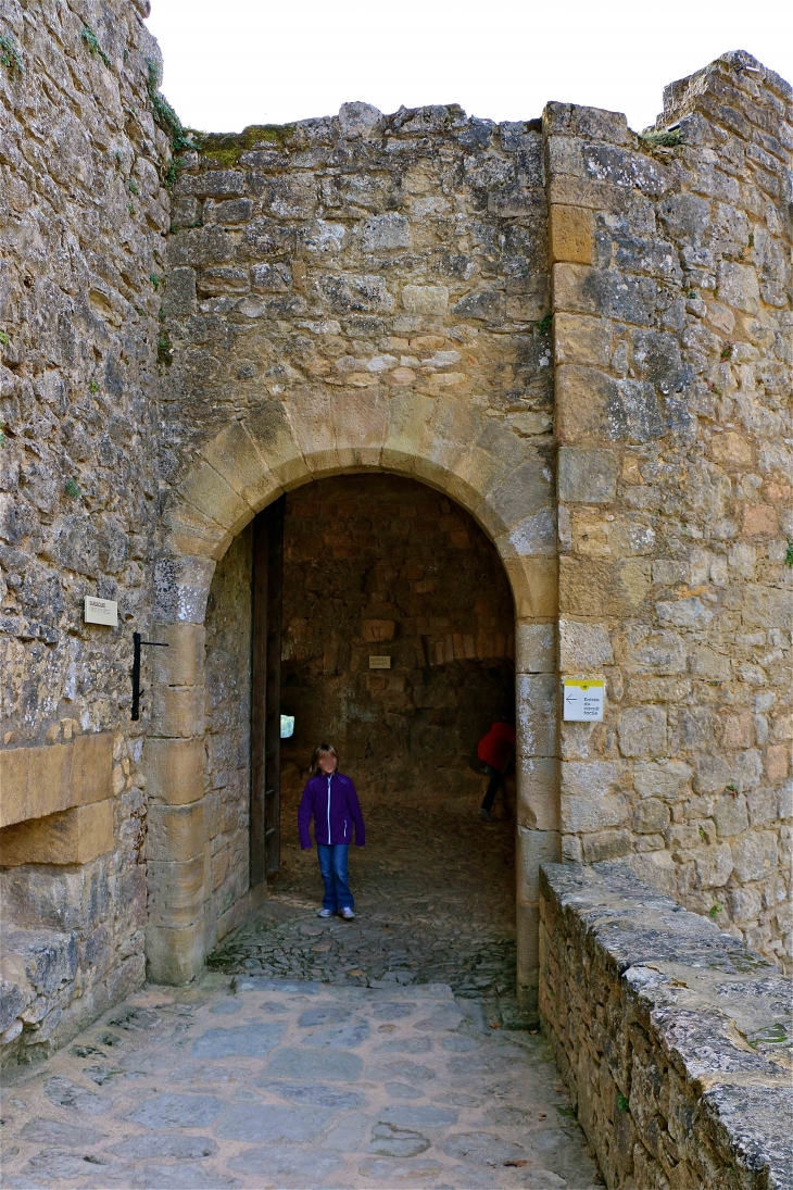 Le Château - Castelnaud-la-Chapelle