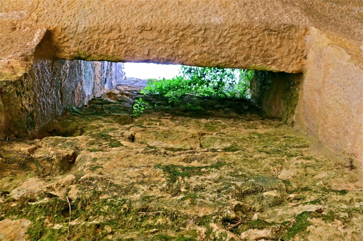 Le Château - Castelnaud-la-Chapelle