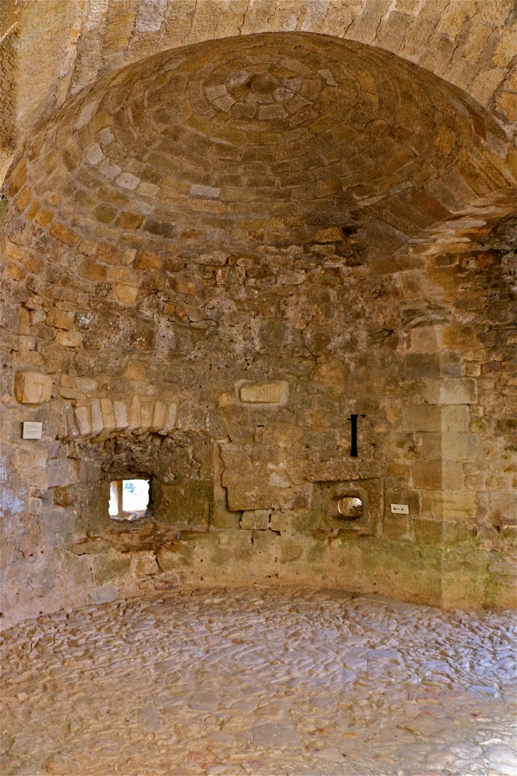 Le château de Castelnaud. - Castelnaud-la-Chapelle