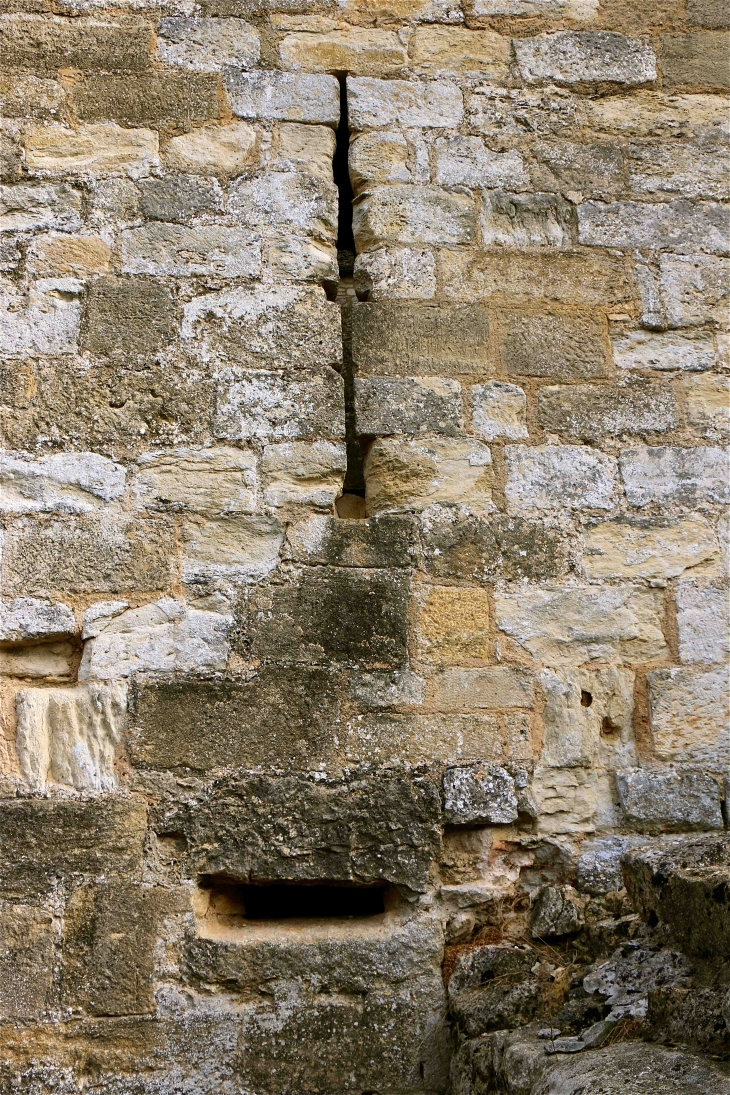 Le château de Castelnaud. - Castelnaud-la-Chapelle