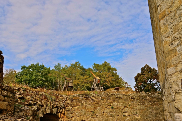 Le château de Castelnaud. - Castelnaud-la-Chapelle