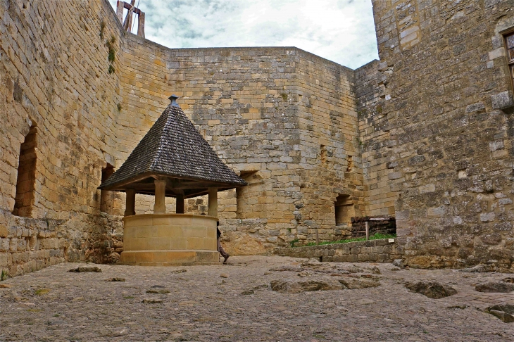 Le château de Castelnaud. - Castelnaud-la-Chapelle