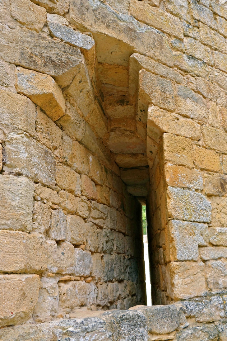 Le château de Castelnaud. - Castelnaud-la-Chapelle